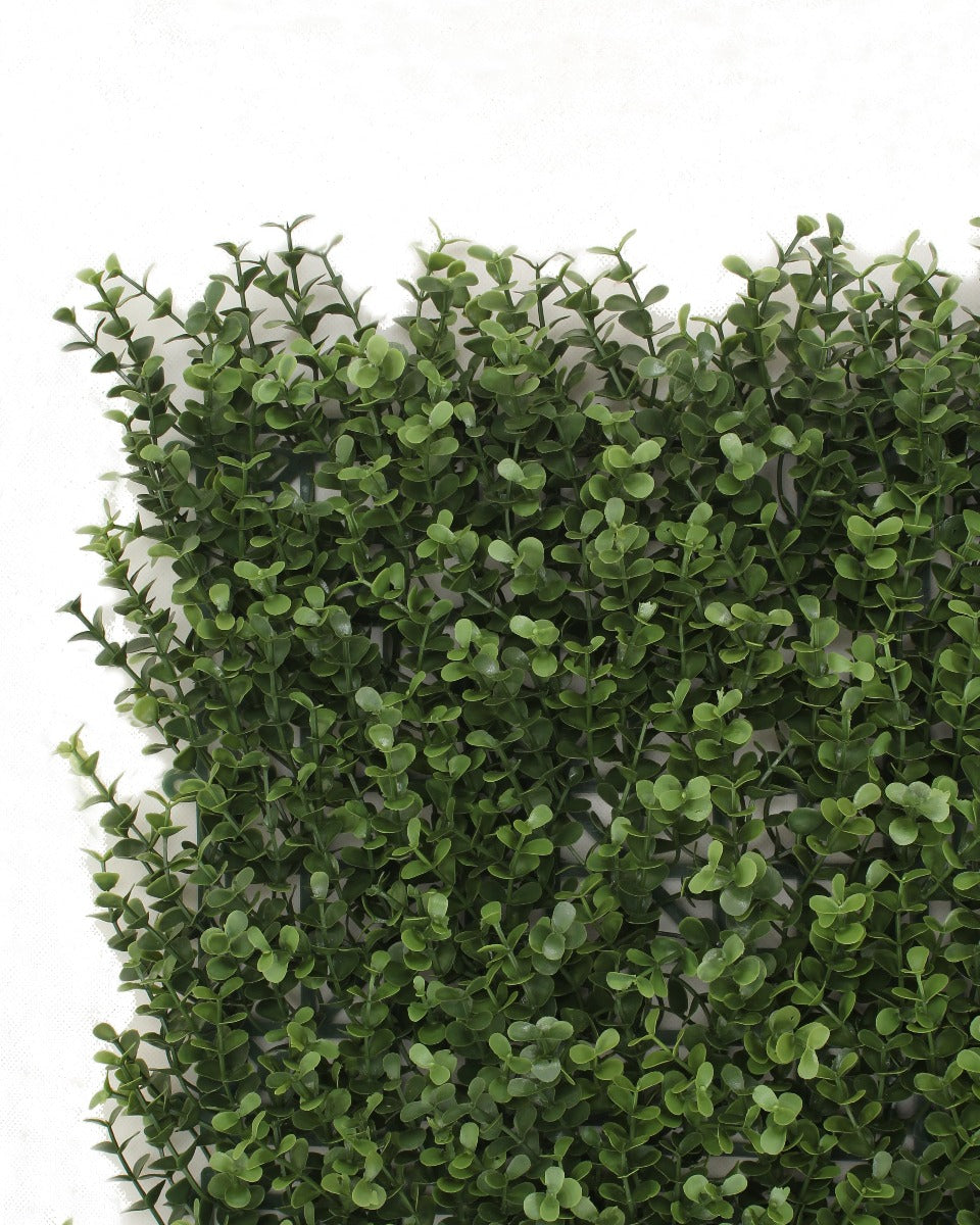 Premium Natural Buxus Hedge Panels UV Resistant 1m x 1m