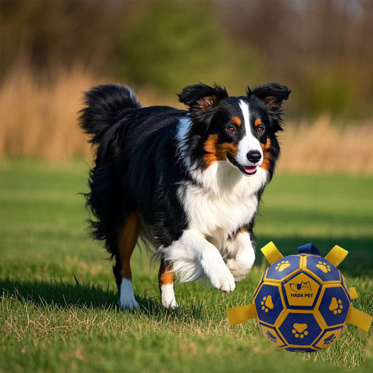 Dog toy with rope Little Yellow Duck plush interactive tennis, suitable for tug-of-war, birthday gift for small dogs, draggable and durable water ball, special for small and medium-sized dogs, made of high quality PU material, which can be kicked and play