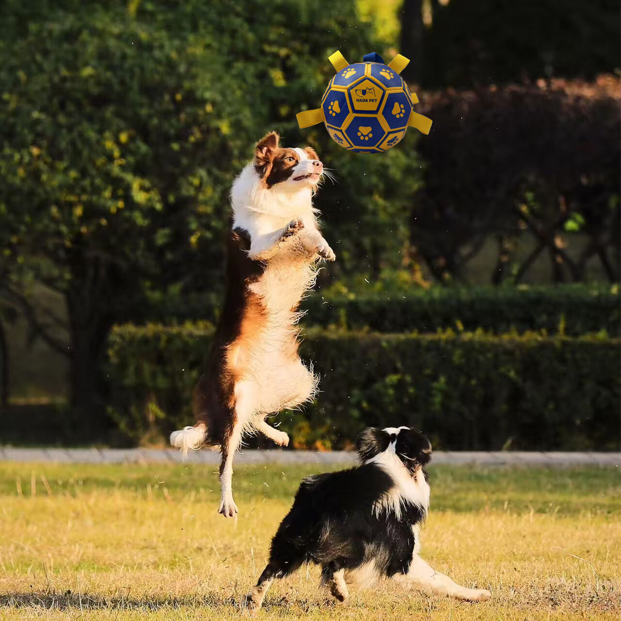 Dog toy with rope Little Yellow Duck plush interactive tennis, suitable for tug-of-war, birthday gift for small dogs, draggable and durable water ball, special for small and medium-sized dogs, made of high quality PU material, which can be kicked and play