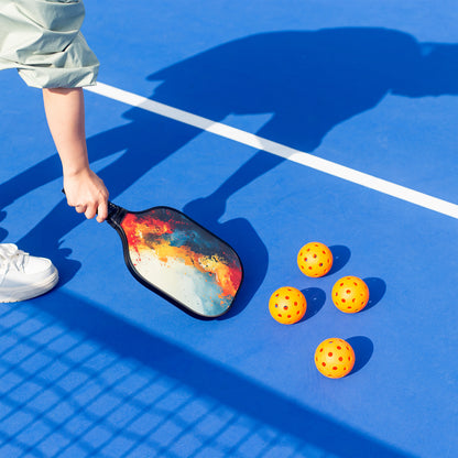 Pickleball Set with 4 Paddles, 6 Balls, Net, and Carry Bag