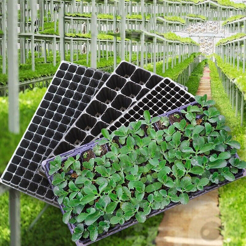 12x 72 Hole Plant Seed Grow Box Insert Propagation Nursery Seedling Starter Tray