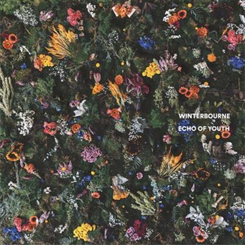 Echo Of Youth - Winterbourne Cd Album