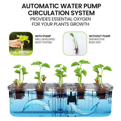 PLANTCRAFT 12 Pod Indoor Hydroponic Growing System, with Water Level Window & Pump, Black