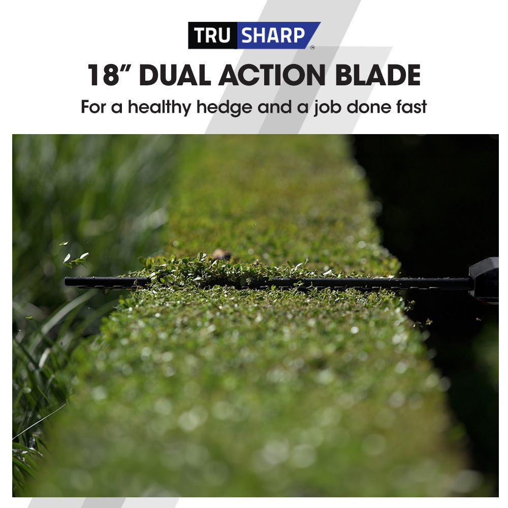 BAUMR-AG 20V SYNC Cordless Pole Saw & Hedge Trimmer Combo, 8 inch Chainsaw Pruner, Telescopic Handle, with Battery and Charger Kit