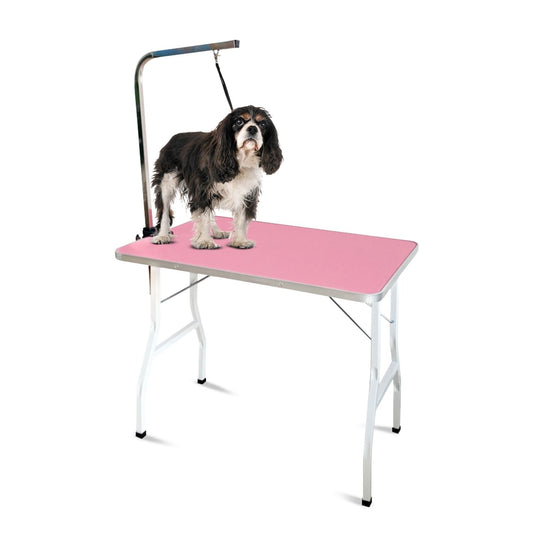 Floofi Pet Grooming Table 90cm Single Pole (Pink) FI-GT-101-LZ