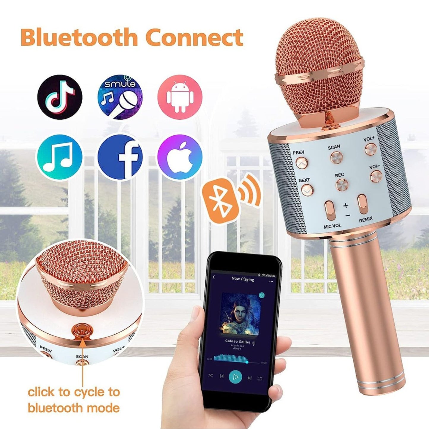 GOMINIMO 4 in 1 Wireless Bluetooth Karaoke Microphone with Record Rose Gold