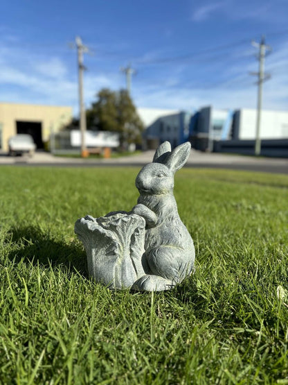 Peter Rabbit Planter