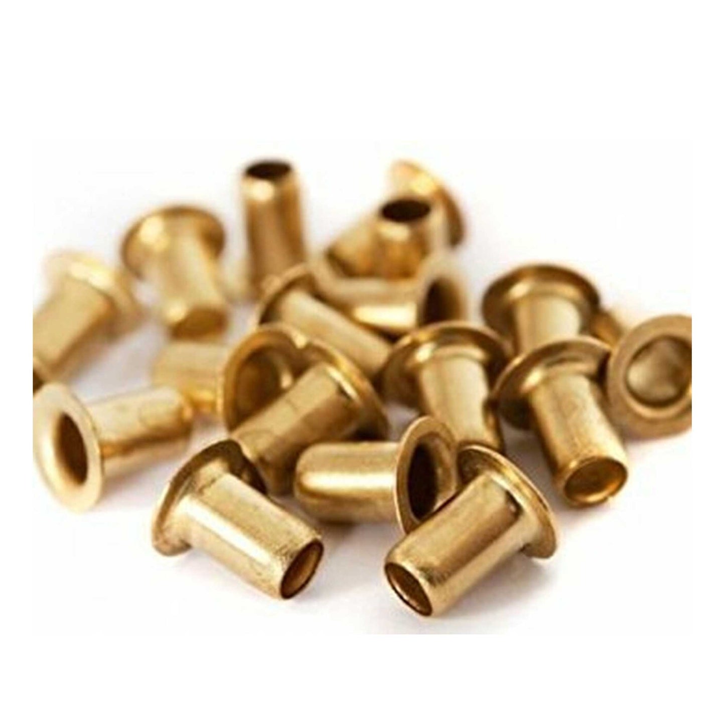 1000 Bee Frame Eyelets Brass Fittings Bee Hive Beehive Beekeeping Beekeeper Tool