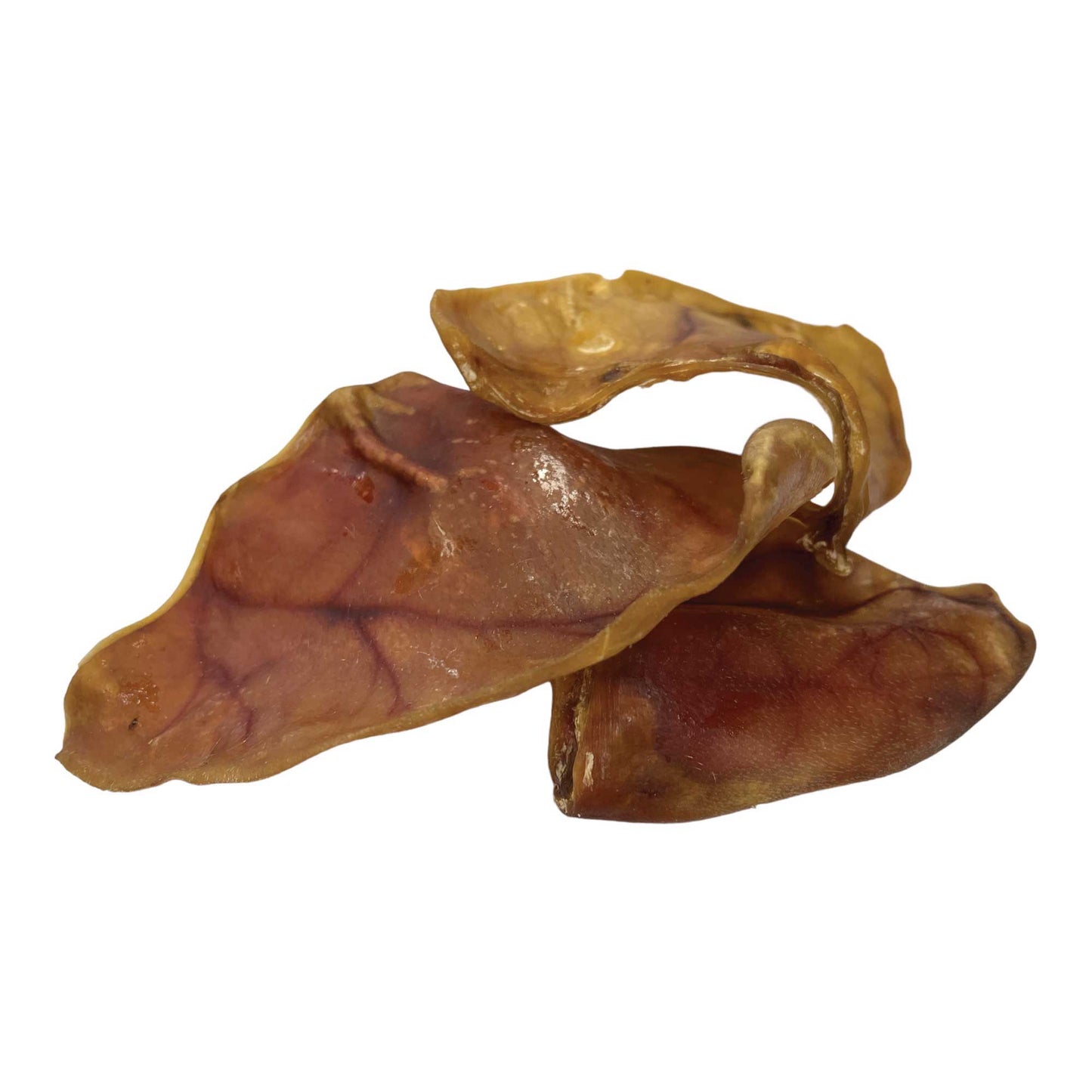 50x Dog Treat Large Pig Ears Whole  - Dehydrated Australian Healthy Puppy Chew