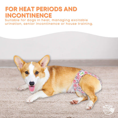 Rooster Farms Female Dog Diapers XSmall 3Pk - Washable Reusable Nappy Hook/Loop