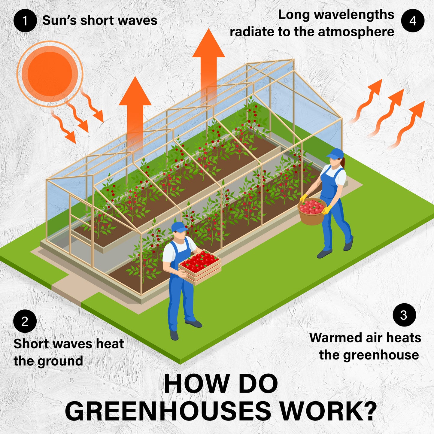 Greenhouse Walk-In Shed 4x3x2M PE Dome Hoop Tunnel Polytunnel