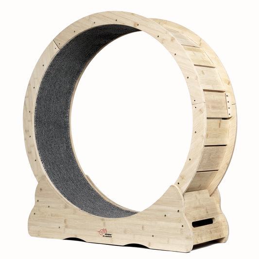 Whisker Wonderland Smart Pet Treadmill - Indoor Fitness Solution for Small Dogs & Cats | Quiet Design, Adjustable Speed, Promotes Pet Health & Weight Management