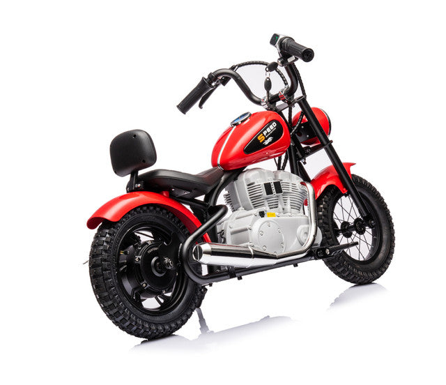 Single Rider Cruiser Bike 36V