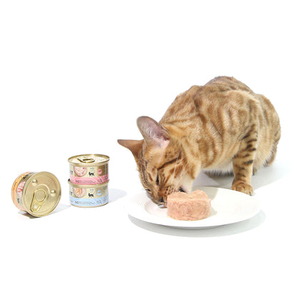 CAT FOREST Premium Tuna White Meat With Shrimp In Gravy Cat Canned Food 85G X 24