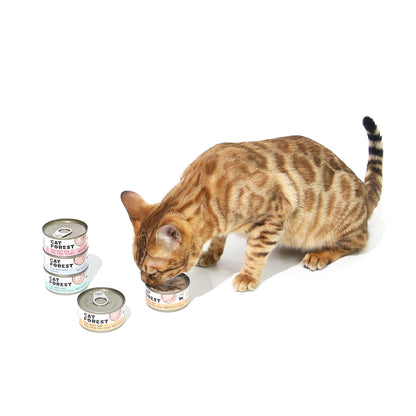 CAT FOREST Classic Tuna White Meat With Whitebait In Gravy Cat Canned Food 85G X 24