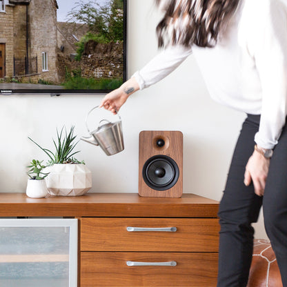 Kanto YU6 200W Powered Bookshelf Speakers with Bluetooth and Phono Preamp - Pair, Walnut with S6 Black Stand Bundle