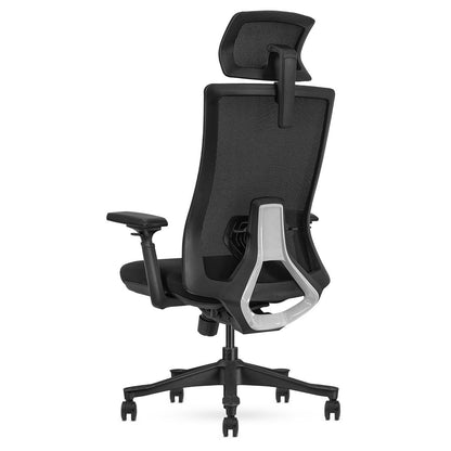 Lifespan Fitness DM9 Ergonomic Mesh High Back Office Chair