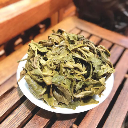 Jasmine Pearl Green Tea 5 x 100g