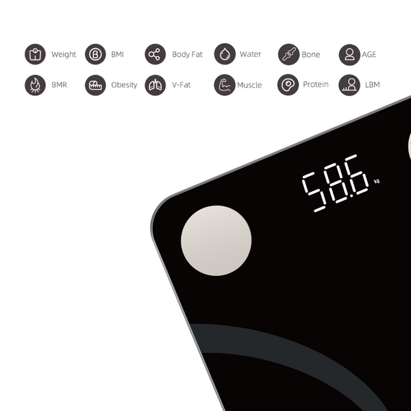 Smart Body Fat Scale