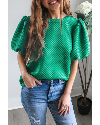 Sea Green Solid Textured O Neck Puff Sleeve Blouse - S