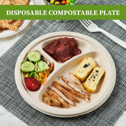 600pcs Disposable Sugarcane Bagasse 3-Compartment Paper Plates Eco 23cm (9") Bulk