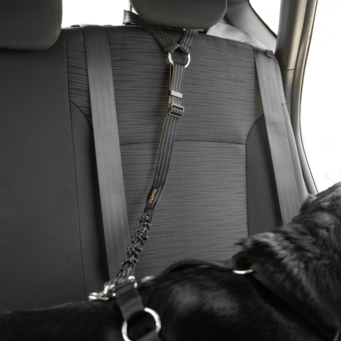 iBuddy Dog Seat Belt for Cars, Headrest Restraint with Locking Carabiner