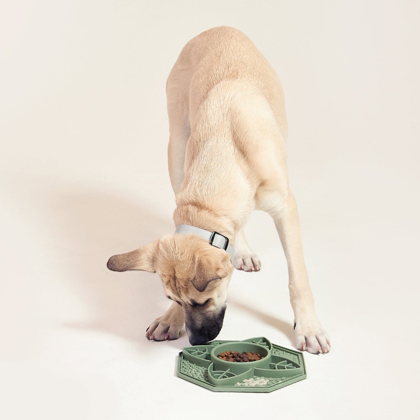 Flower Mandala Slow Feeder Lick Mat Bowl - Green