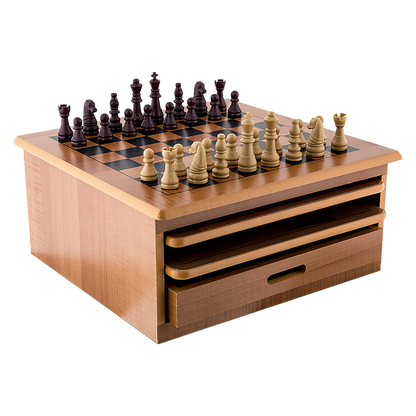 10 in 1 Wooden Chess Board Games Slide Out Checkers House Unit Set