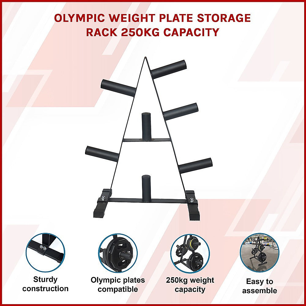 Olympic Weight Plate Storage Rack 250kg Capacity