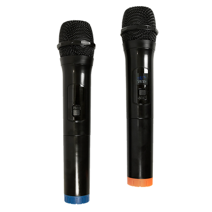 2 x Wireless Microphone Handheld Cordless Professional Mic Karaoke Receiver