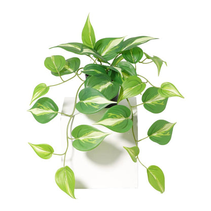 Potted Artificial Hanging Variegated Pothos 42cm