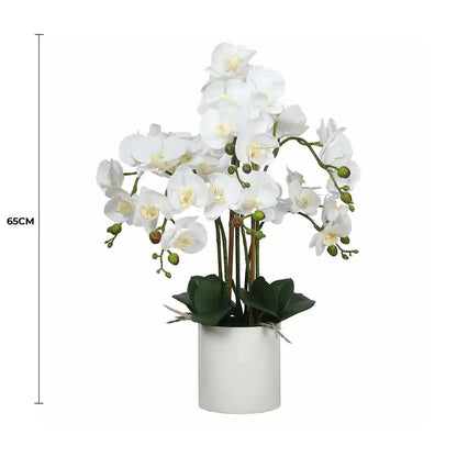 Large Multi-Stem White Potted Faux Orchid 65cm
