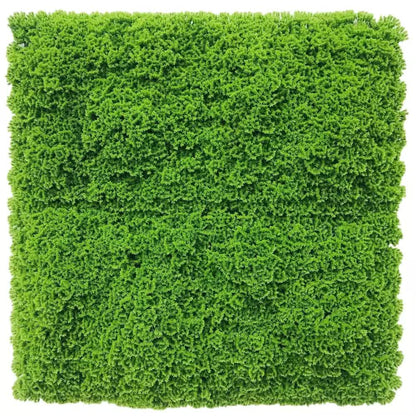 Fresh Natural Green Artificial Moss / Green Wall UV Resistant Sample