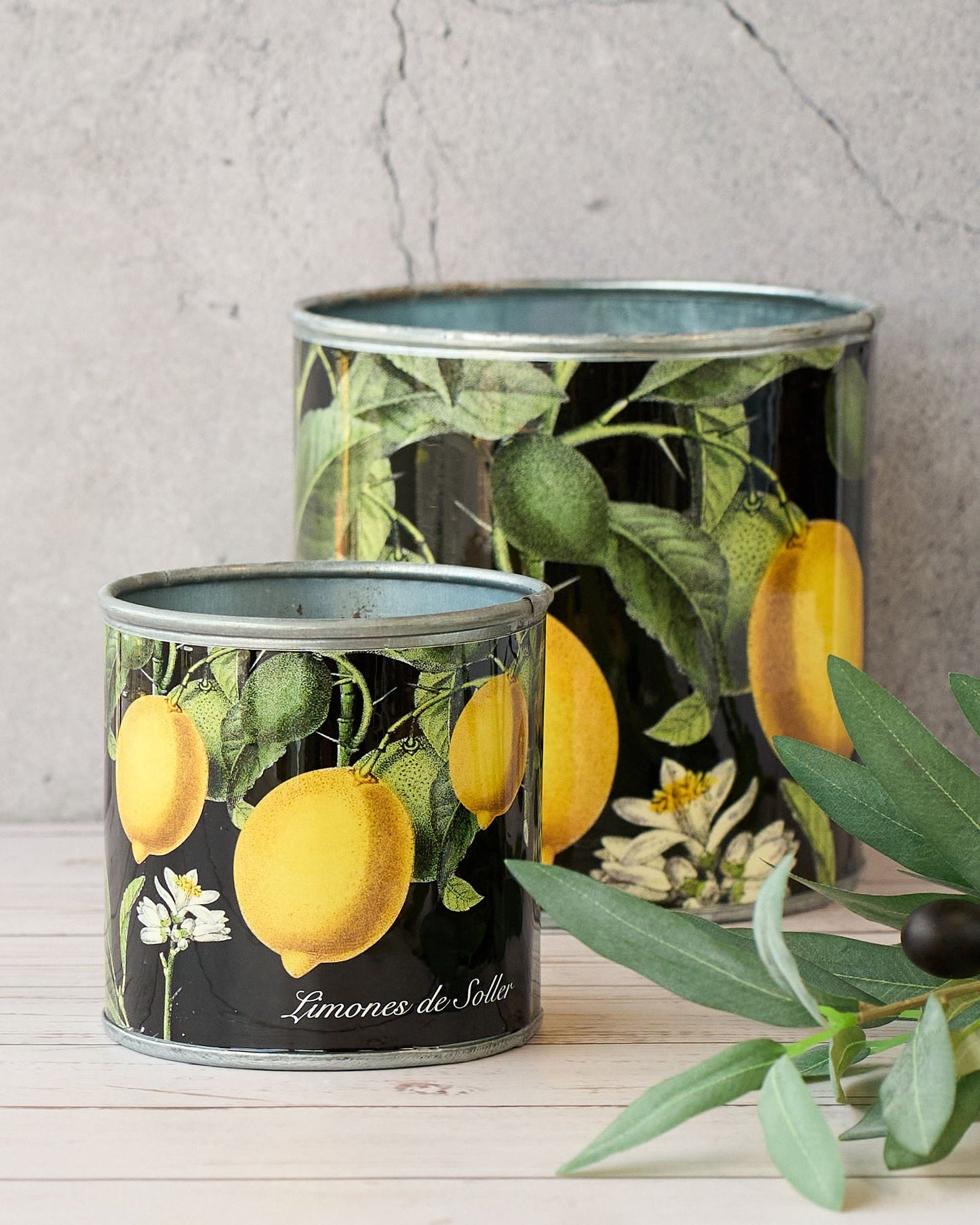 tin-planter-lemons-set-of-4