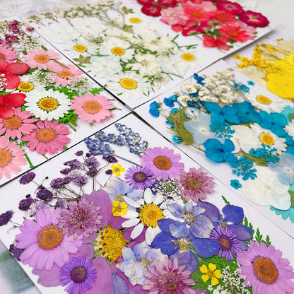 Pressed Dried Flower Craft Kit - Mixed Color Floral Collection for DIY Projects(A20 Red)