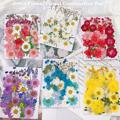 Pressed Dried Flower Craft Kit - Mixed Color Floral Collection for DIY Projects(A22 Blue)