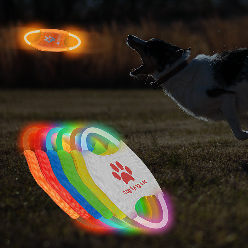 Blue LED Light Up Dog Frisbee - Rechargeable & Durable Pet Toy