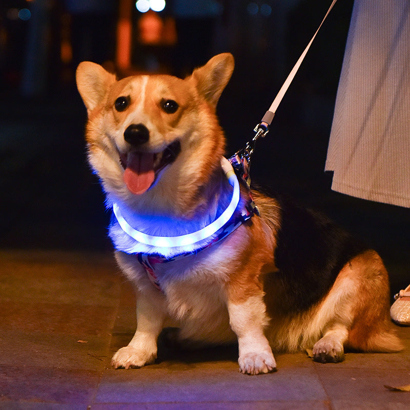 Colorful Rechargeable LED Pet Collar - Adjustable, Glow-in-Dark Safety for Dogs & Cats