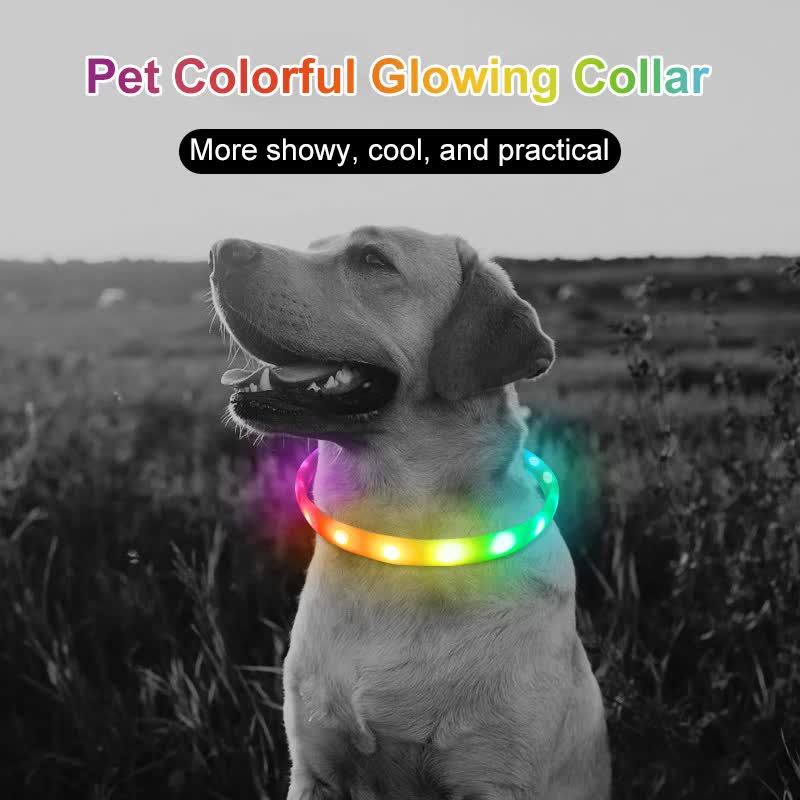 Colorful Rechargeable LED Pet Collar - Adjustable, Glow-in-Dark Safety for Dogs & Cats