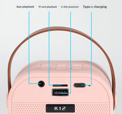 Black single wheat Portable Mini Karaoke Machine with Wireless Microphone - Bluetooth Speaker for Kids & Adults