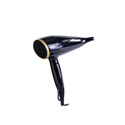 Foldable Hair Dryer Travel Pro 2200W