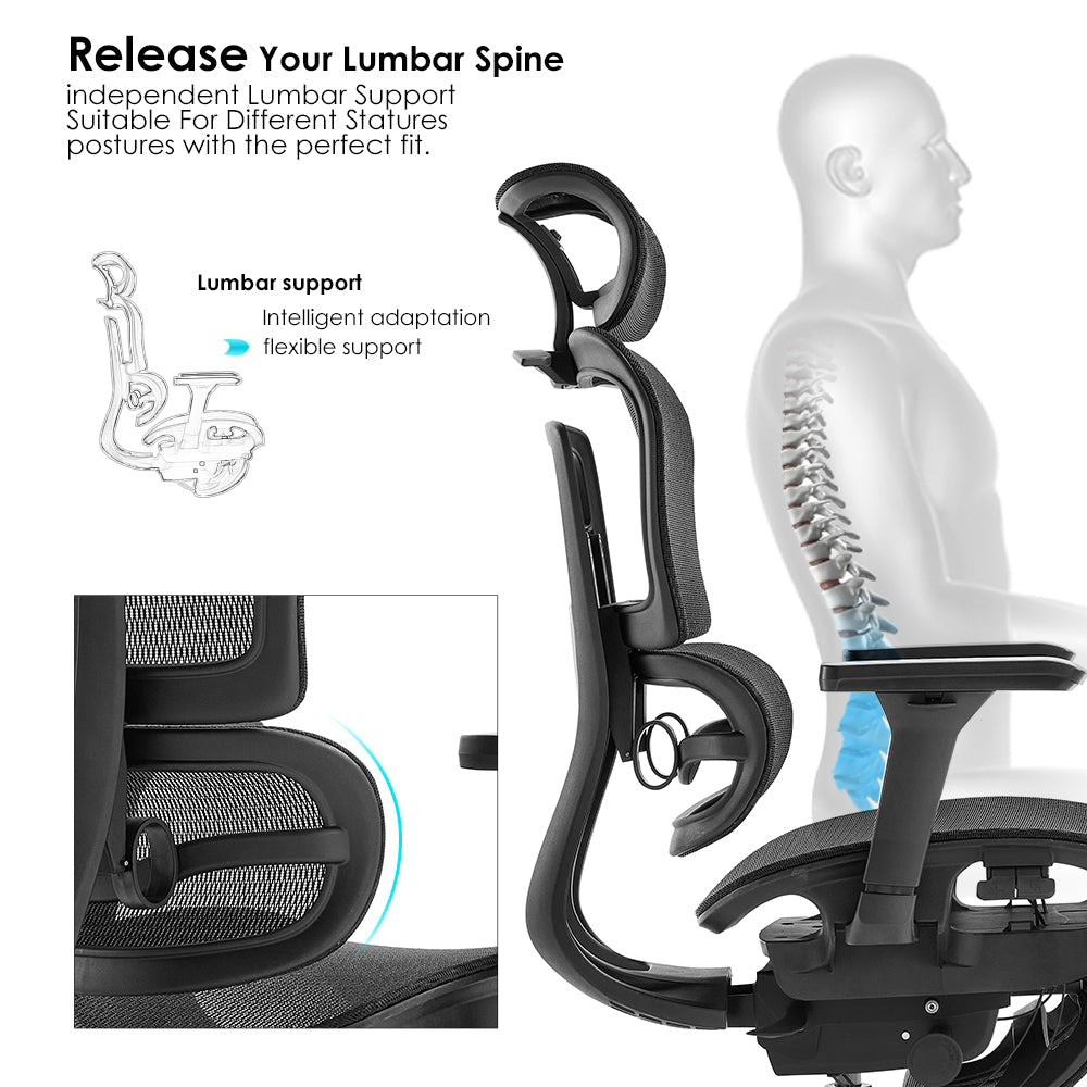 High Back Ergonomic Mesh Office Chair