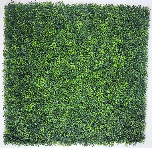 Mixed Boxwood Hedge Panels / Screens UV Resistant 1m x 1m